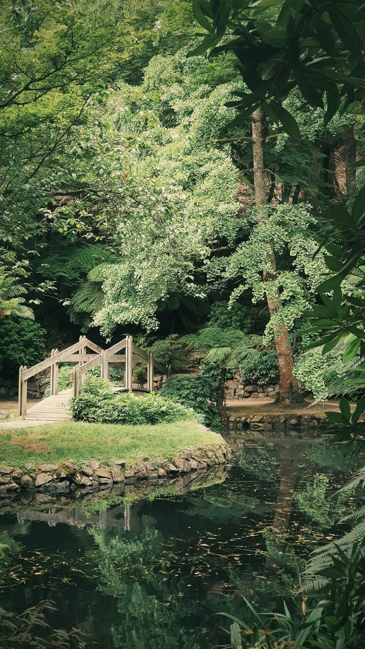 Mitglieder berichten: Mein schönstes Gartenerlebnis